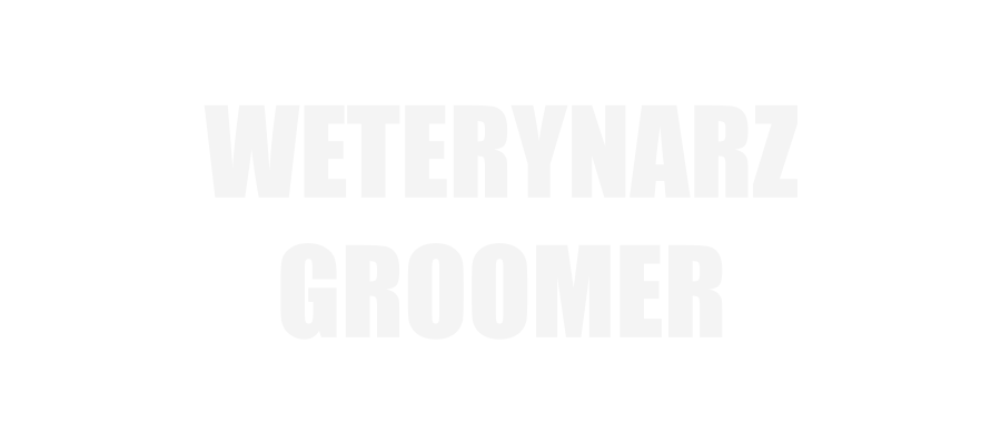 Weterynarz/groomer - dom w Dobroszycach